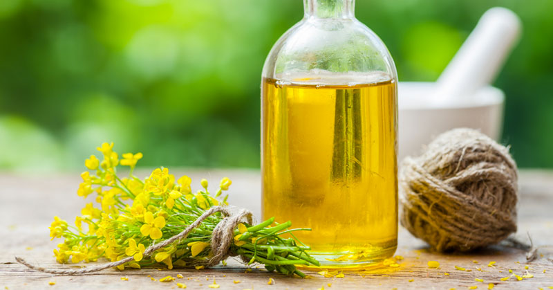 The Dangers of Canola Oil